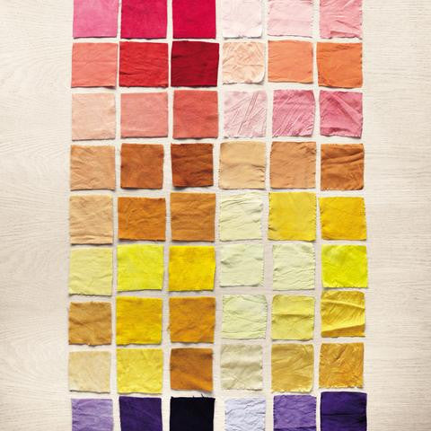 草木染めWSのご報告