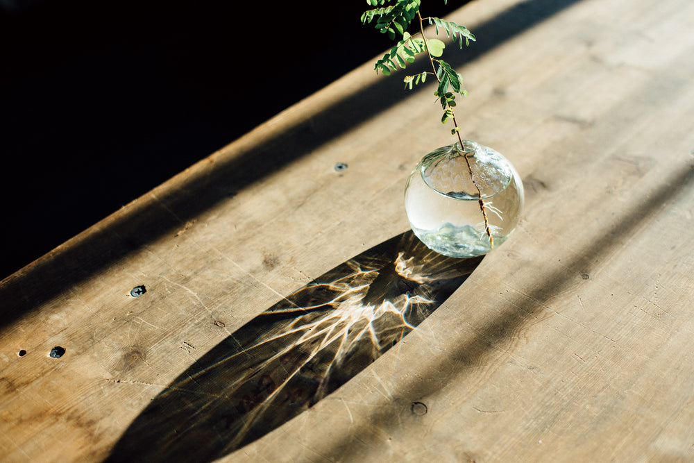 Through the lens for amirisu by Masako Nakagawa