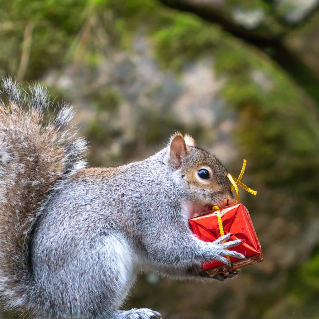 オンラインショップ：発送についての変更につきまして