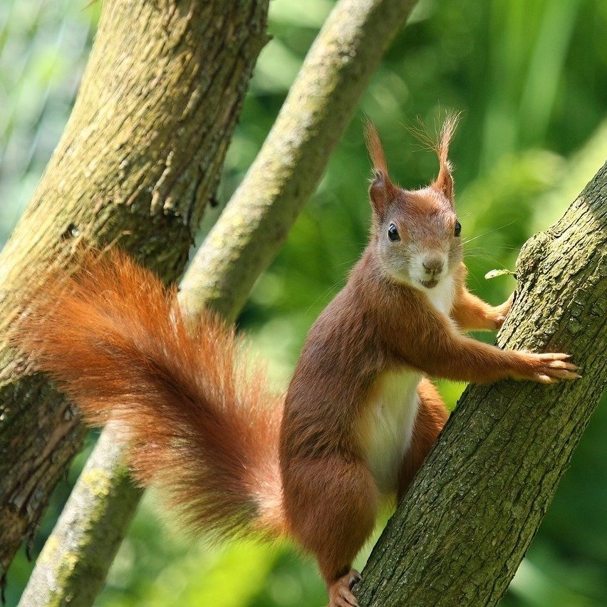 お知らせ：キットのパターンがPDFパターンになりました