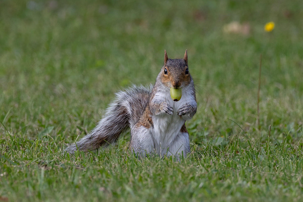 領収書・お荷物の追跡番号の確認方法が <br> 新しくなりました！