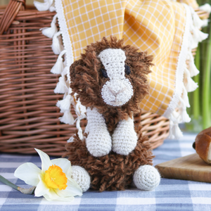 PERRY(ペリー) -モルモット-