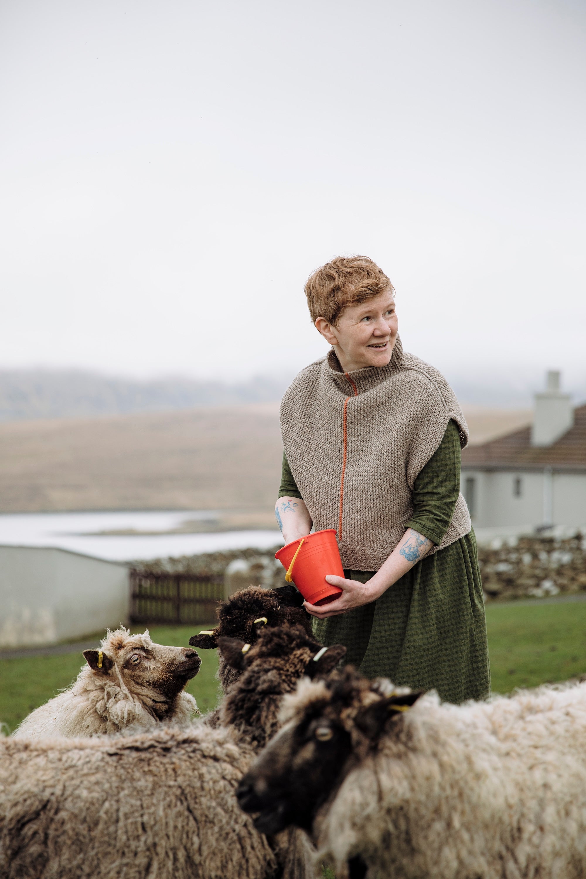 予約販売！Shetland Shades: Stories in Wool