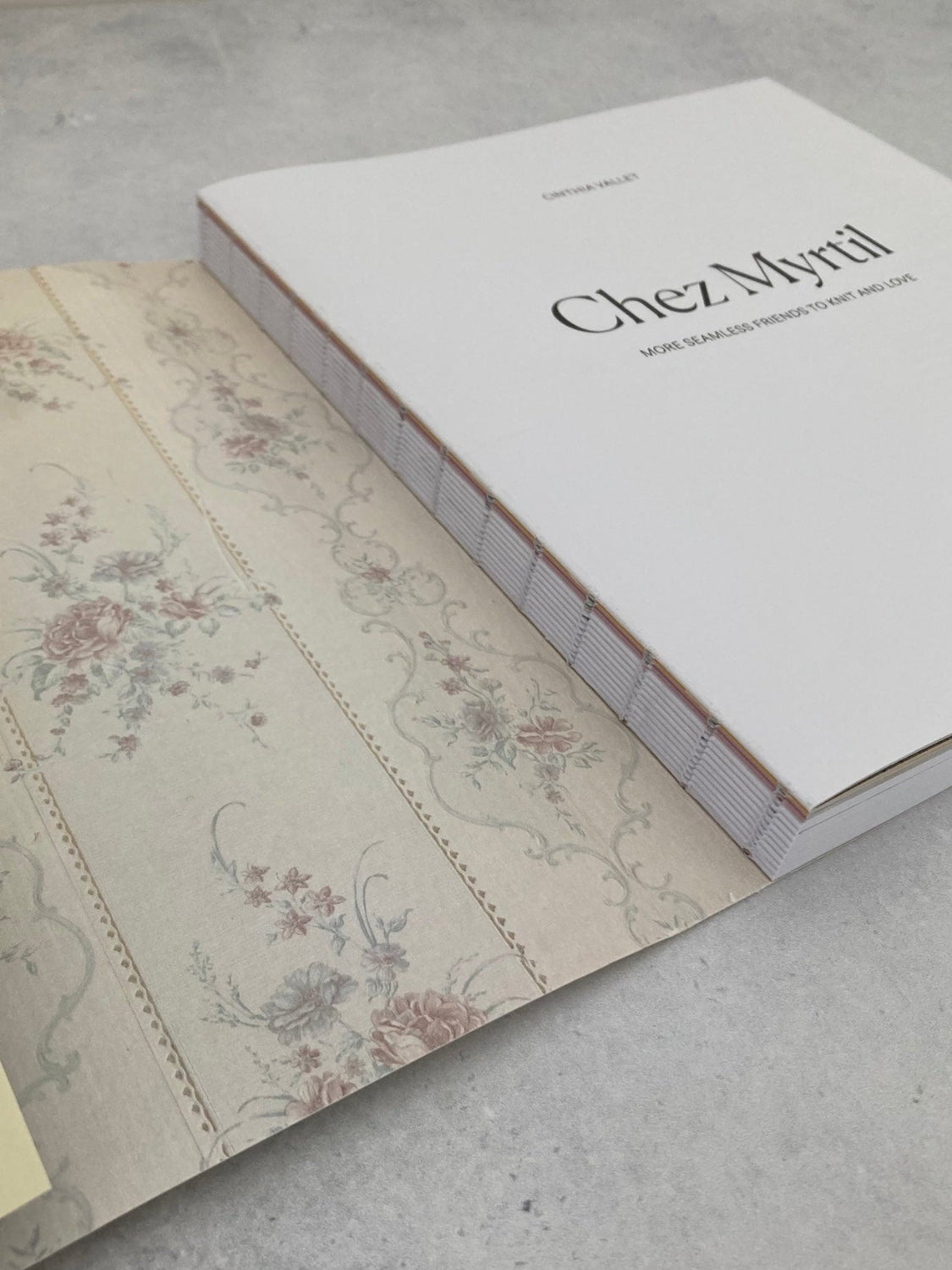 Chez Myrtil: More Seamless Friends to Knit and Love