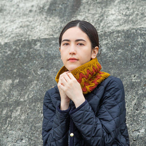 Northern Lights – A Collection with Brooklyn Tweed-Book-amirisu-amirisu online store