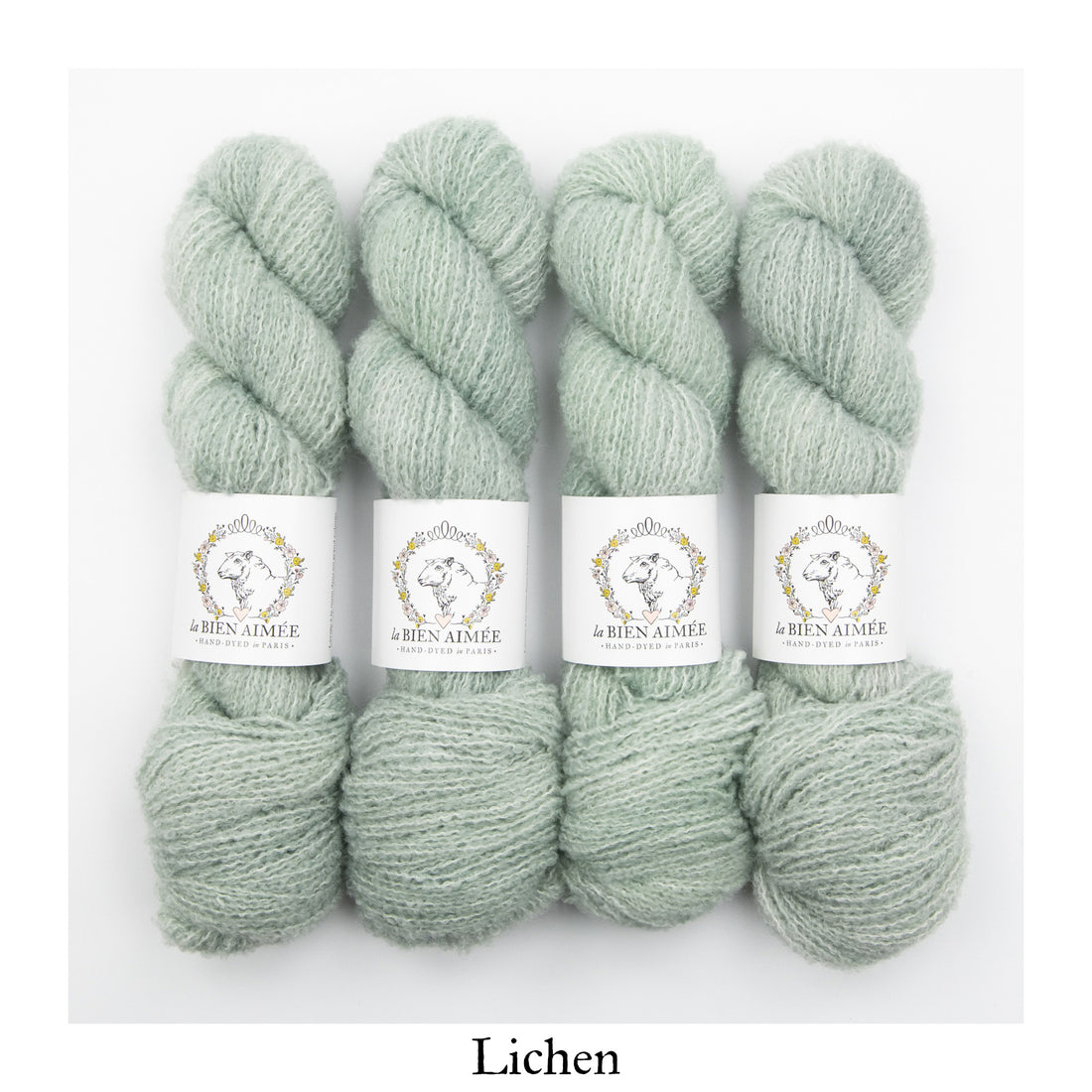 Lichen