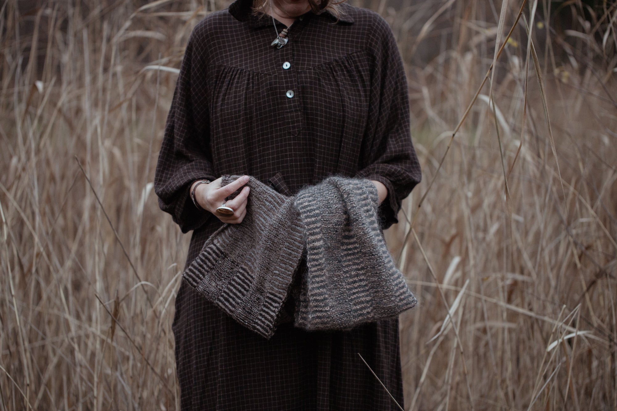 予約販売！The Island and the Forest