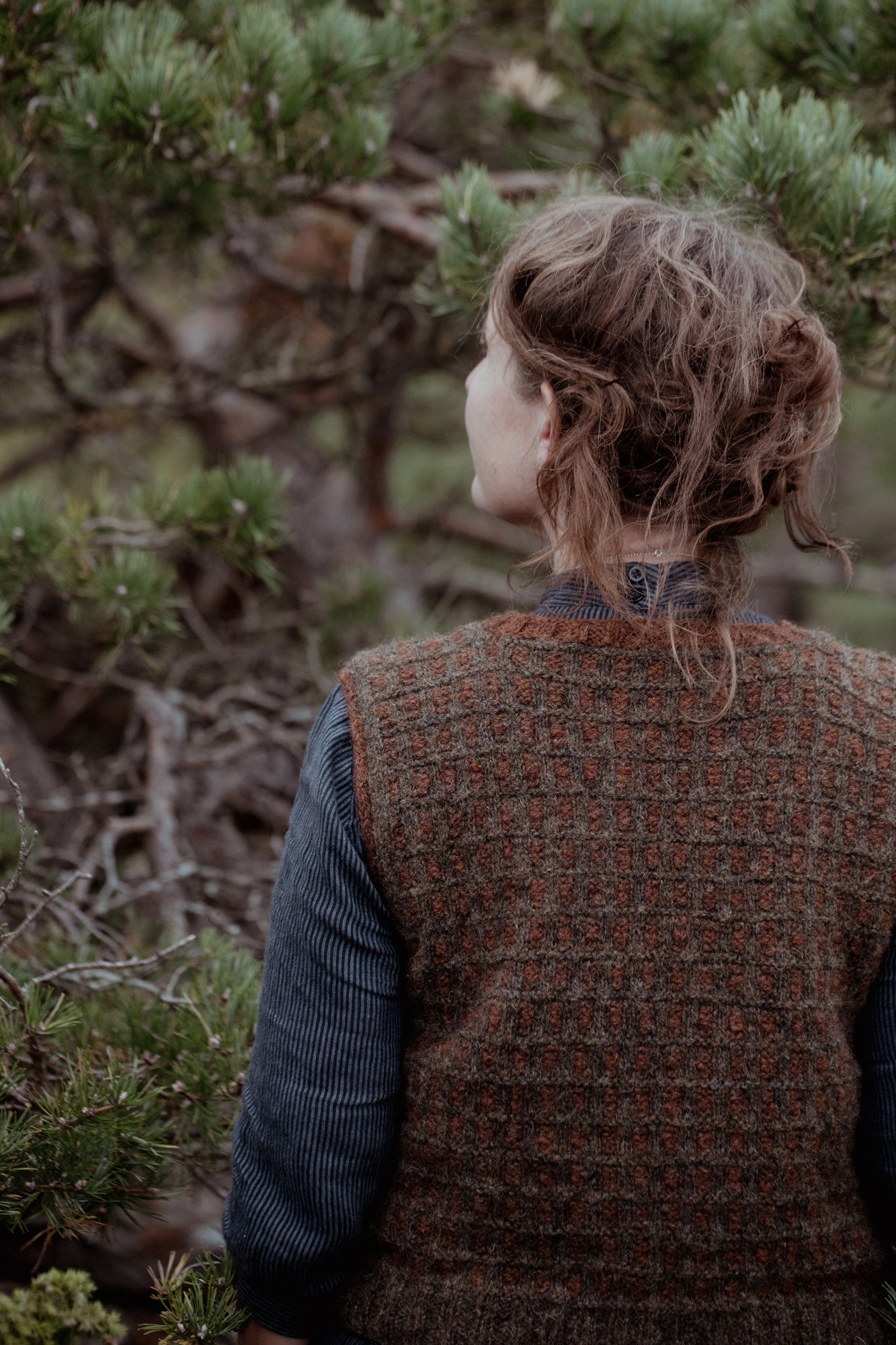 予約販売！The Island and the Forest