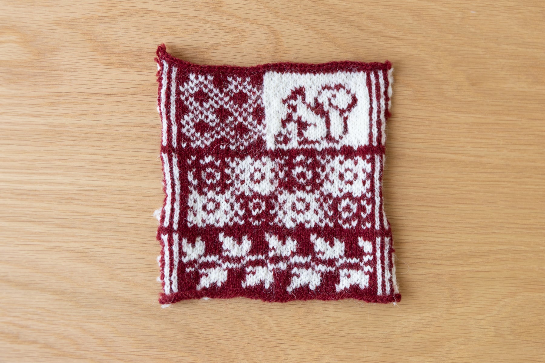 阪本さんセレクト