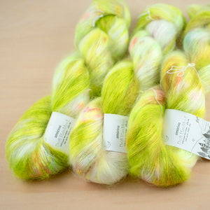 獅子座のパッション