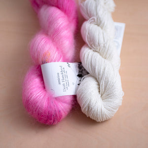 Antarctica + 水浴びフラミンゴ