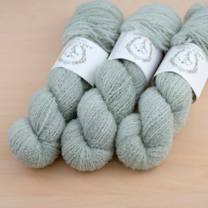 Lichen