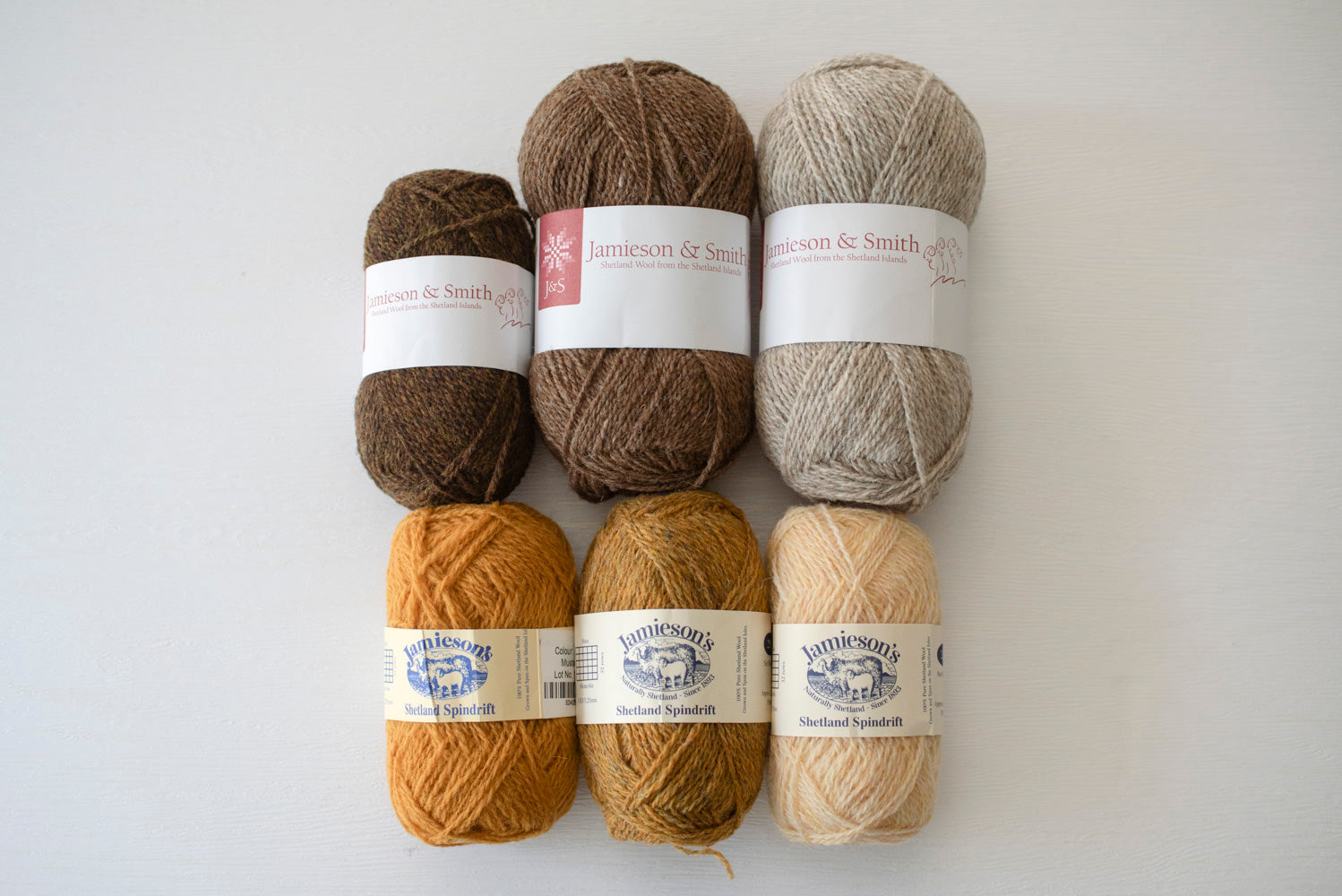 阪本さんセレクト