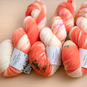 アマリリスの調べ