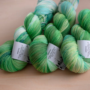 Swing / 牡牛座の風