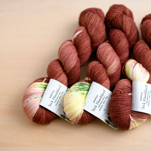 Trek / モカにピスタチオ