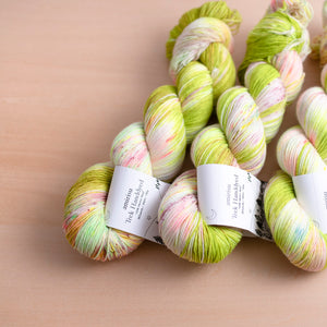 Trek / 獅子座のパッション