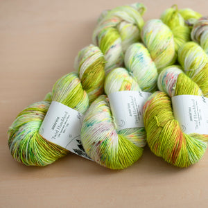 獅子座のパッション