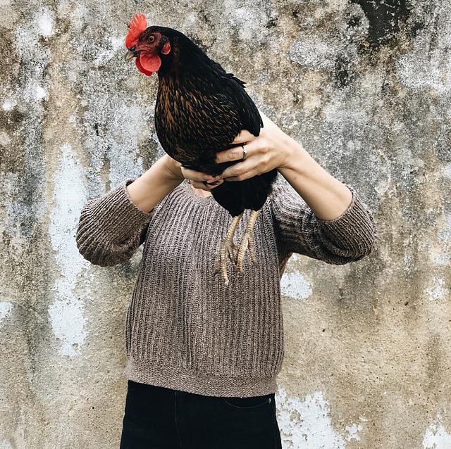 Mungocheキット（PDF版日本語文章パターン付き）