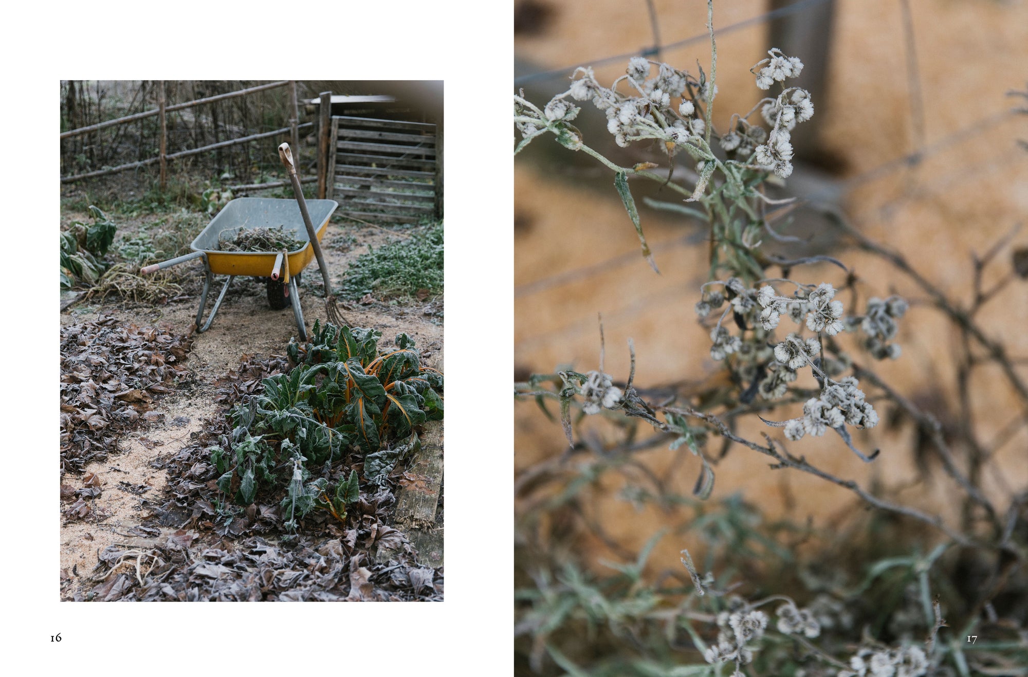 Contrasts: Textured Knitting