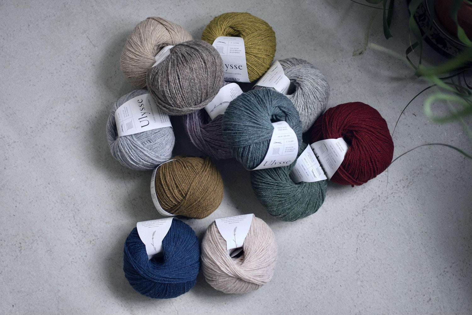 De Rerum Natura Ulysse