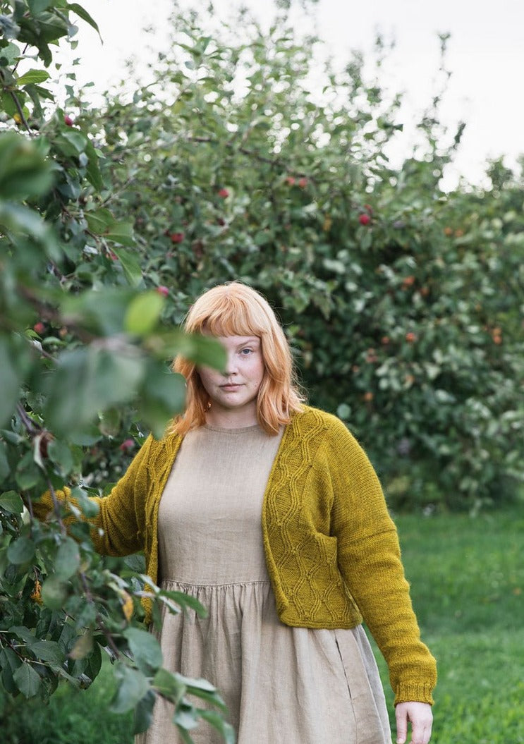 Andrea キット -Gilliatt- （Worsted - Japan Edition 掲載）